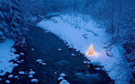 Illuminated Christmas Tree Beside A Creek In A Snow Covered Forest At