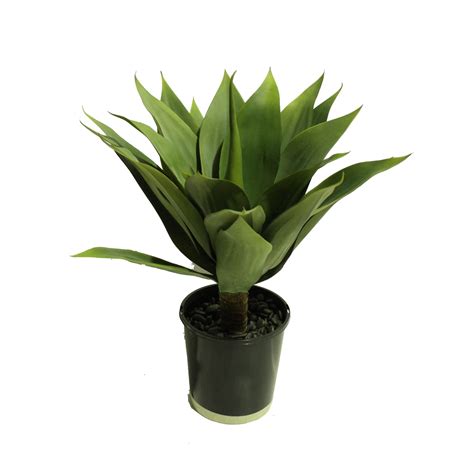 Artificial Agave Plant Green 53cm Greenery Imports