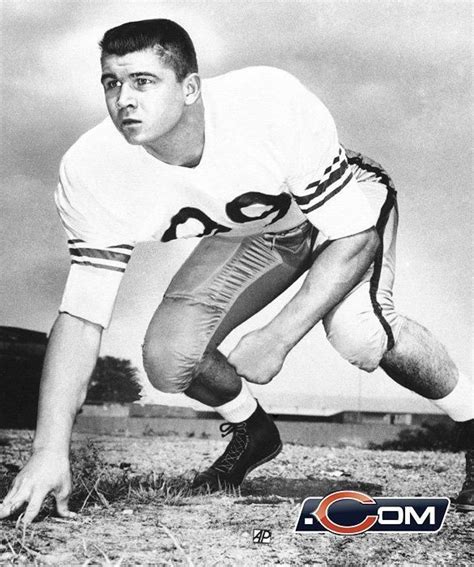 Mike Ditka Ditka Mike Mike Ditka College Football Teams American Football