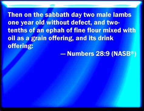 Numbers 289 And On The Sabbath Day Two Lambs Of The First Year Without