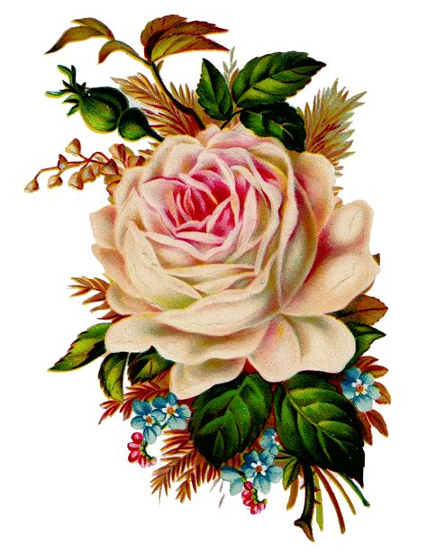 Pearlriverworld Flower Painting Vintage Roses Victorian Flowers