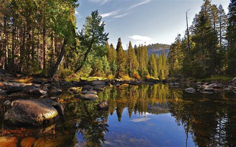 Wallpaper Landscape Forest Lake Nature Reflection River