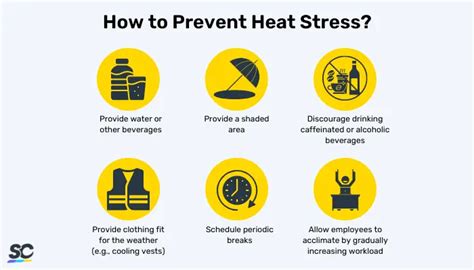 Heat Stress At Work Causes And Prevention Safetyculture