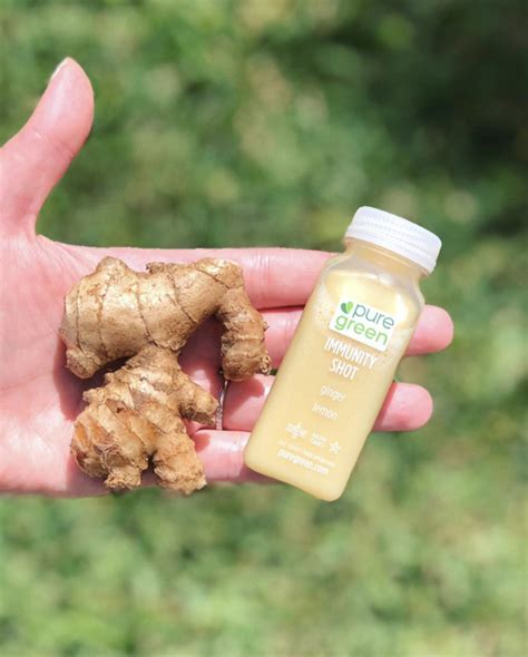 Why You Should Be Taking A Ginger Shot Daily — Pure Green Juice And
