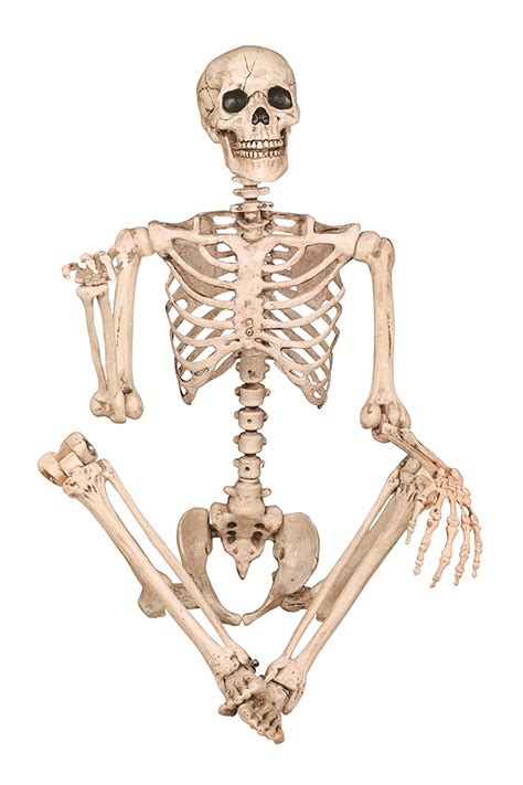 Posable Skeleton Figure - 5' | Halloween Prop Decorations ...