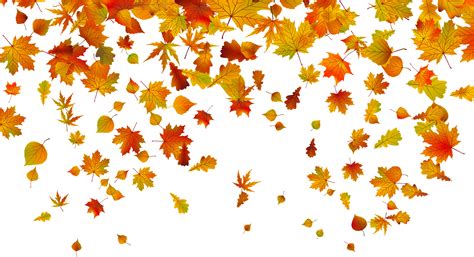 Download Beautiful Falling Leaves Clipart Fall Leaves Border - Falling Leaves No Background ...