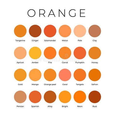 Orange Color Shades Swatches Palette With Names Stock Vector