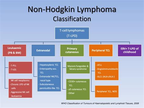 Lymphoma Types Chart