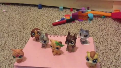 Lps Popular Intro Youtube