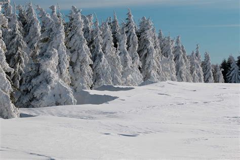 Winter Snow Landscape Photohdx