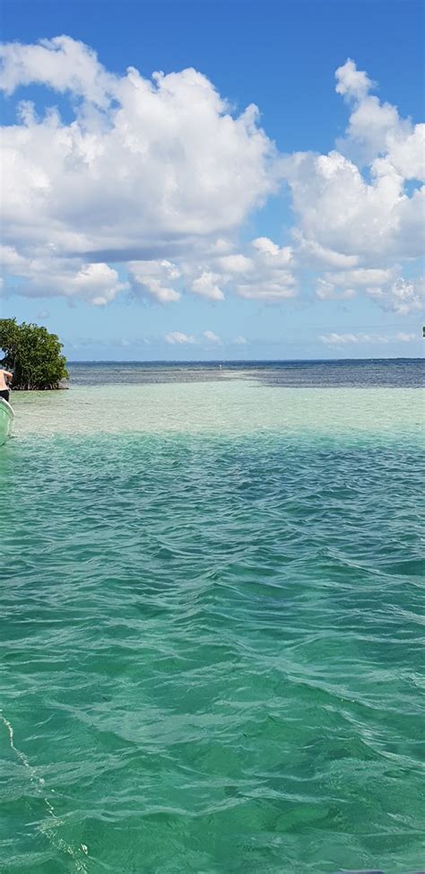 La Route Du Lagon Sainte Rose Mise À Jour 2019 Ce Quil Faut Savoir