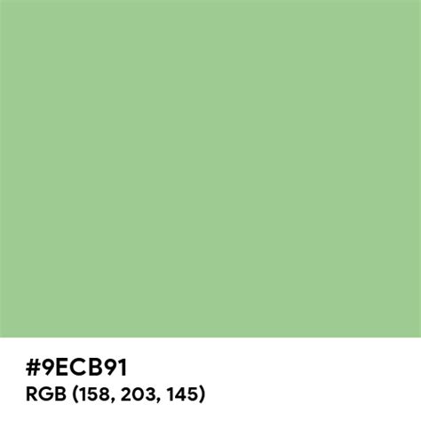 Pastel Grass Green Color Hex Code Is 9ecb91