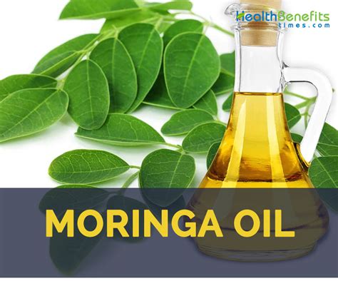 Moringa Oil Facts And Health Benefits