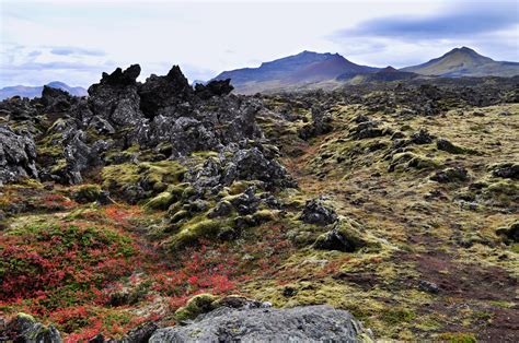 Weird Wonderful Wanderlust Iceland The Lava Fields Of Berserkjahraun