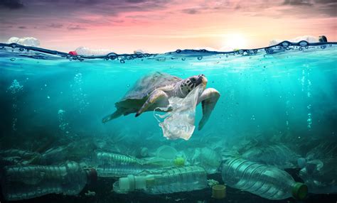 New Partnership To Reduce Ocean Plastic Pollution