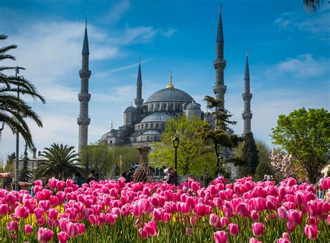Blue Mosque Istanbul Tour Studio Istanbul Guide