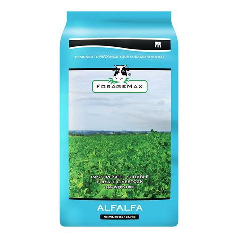 Dlf Alfalfa Foragemax Grass Seed 50 Lb