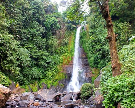 Gitgit Waterfall Singaraja 2023 Qué Saber Antes De Ir Lo Más