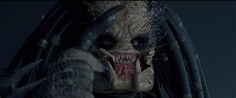 Alien et predator yin yang. Image - Cute face Scar.png | Xenopedia | FANDOM powered by ...