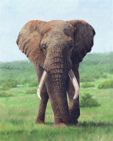 African Elephant Painting By David Stribbling Fine Art America