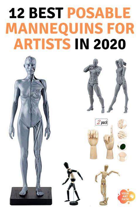 12 Best Posable Mannequins For Artists In 2020 Anatomical Human