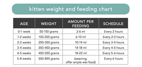 Learn how much wet food your cat needs. Use this chart as a guideline for feeding. Remember that ...