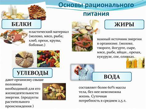 Диета белки и углеводы клетчатка Правильный Рацион Питания Белки Жиры Углеводы — Похудение Диета Правильный Рацион Питания Белки Жиры Углеводы — Похудение Диета Диета белки и углеводы клетчатка