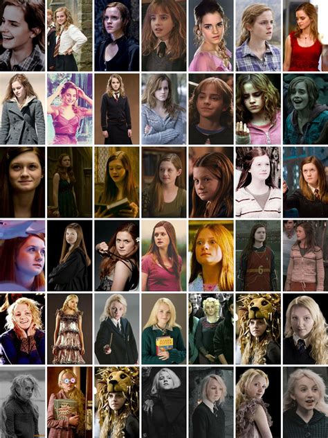 Hermione Ginny Luna Harry Potter Lestrange Harry Potter Weasley