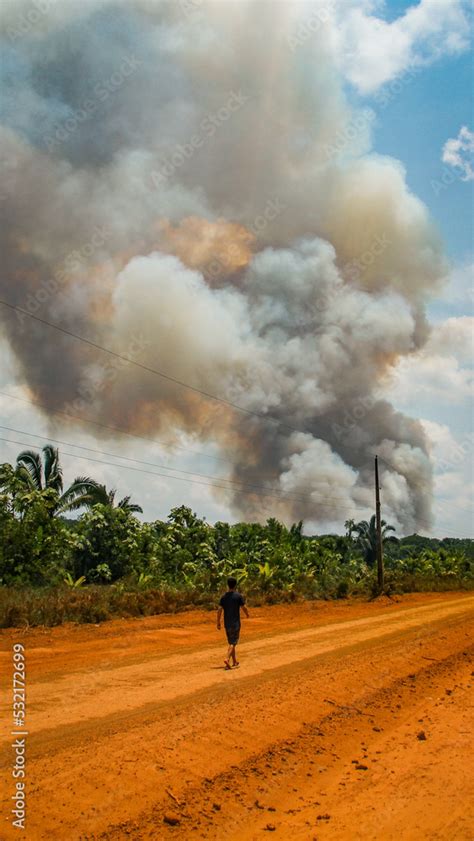 Fumaça de queimada às margens da BR 230 rodovia Transamazônica sul do