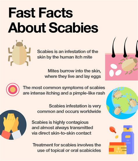 How To Treat Scabies Finding Relief Fast The Amino Company