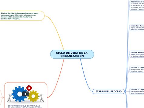 Ciclo De La Vida De La Organizacion Mind Map Vrogue Co