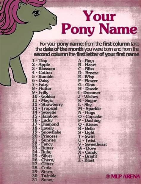 Whats Your Pony Name T Shirts And Apparel
