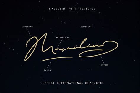 Masculin The Real Signature Font Stunning Script Fonts Creative