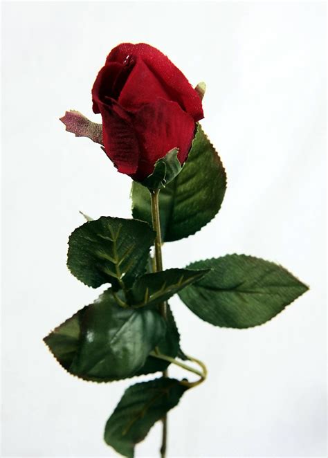 artificial silk rose single stem 56cm red uk kitchen and home silk roses
