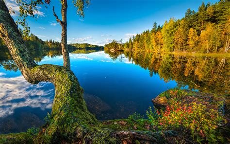 Hurum Buskerud Norway Lake Wood Forest Reflection In Water Wallpaper Hd