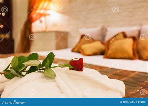 Rose In A Bedroom Stock Photo Image Of Flower Bedroom 100776706