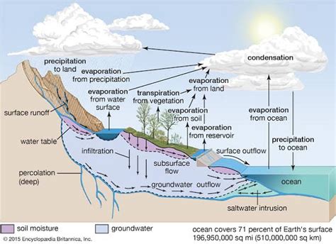 What Is The Hydrologic Cycle Detailed Description Civilmint