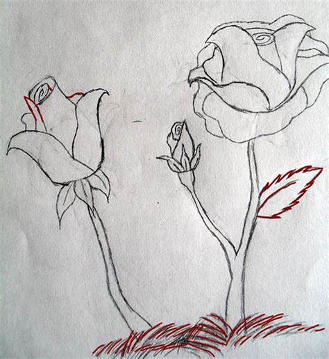 Kako Nacrtati Ružu