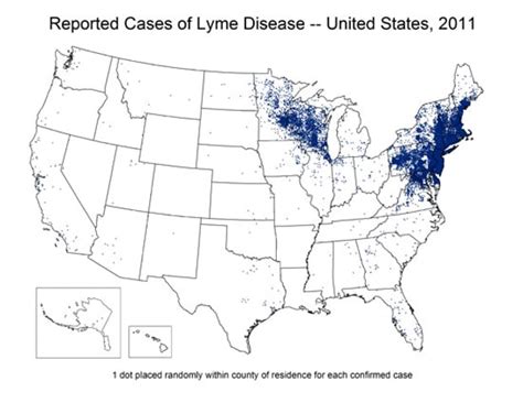 How Washingtons Lyme Disease Rate Compares With Rest Of Us Washingtonian