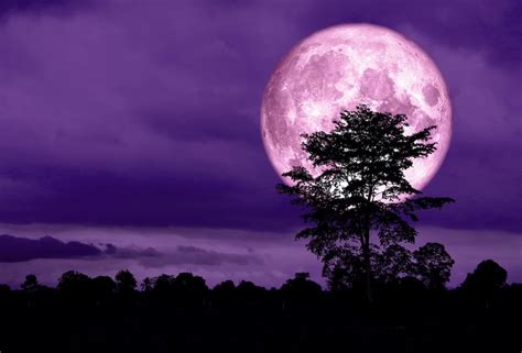 How To See This Weeks Super Pink Moon