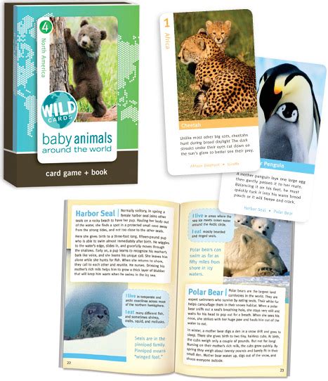 Wild Cards Baby Animals Around The World Excellence In Education