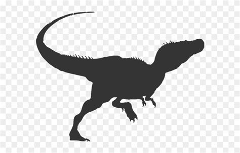 Raptors Clip Art Library