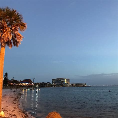 Ben T Davis Beach Tampa 2023 Lo Que Se Debe Saber Antes De Viajar
