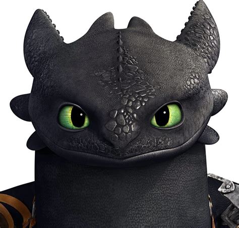 Toothless Riders Of Berk How Train Your Dragon How To Train Your