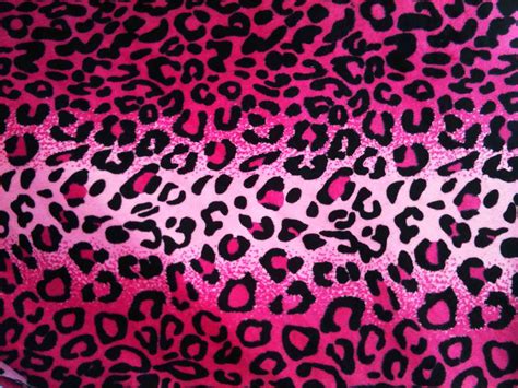 Leopard Print Pink Wallpapers On Wallpaperdog