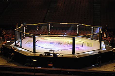 What Is The Ufc Ring Called Mma Zone