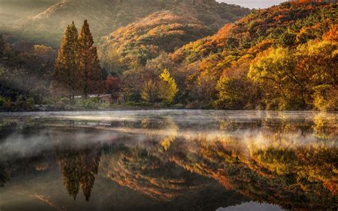 Download Wallpapers South Korea Autumn Hills Lake Fog Forest Asia