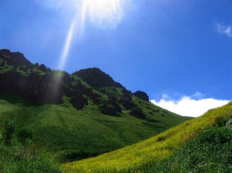Sunny Hillside Free Photo Download Freeimages