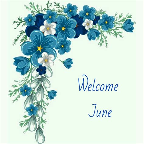 Welcome June Flower Border Png Flower Frame Flower Border