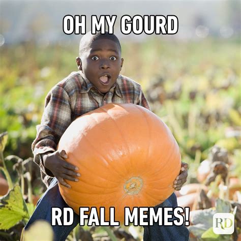 30 Fall Memes All Autumn Lovers Will Relate To In 2023